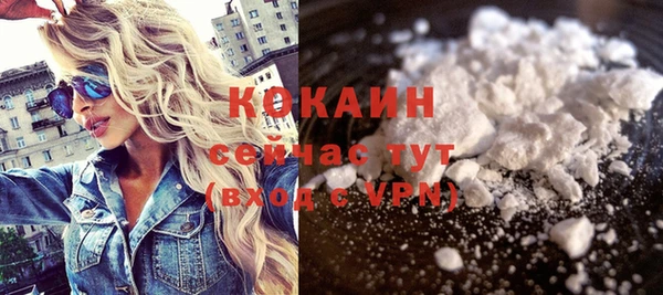 ALPHA PVP Гусев