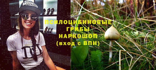 гидропоника Дмитриев