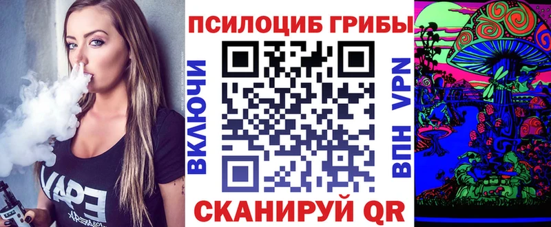 Псилоцибиновые грибы Cubensis  Жуковский 